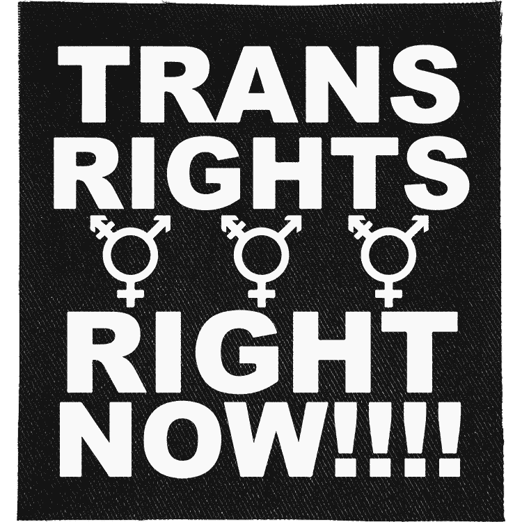 Trans Rights, Right Now Patch image 0