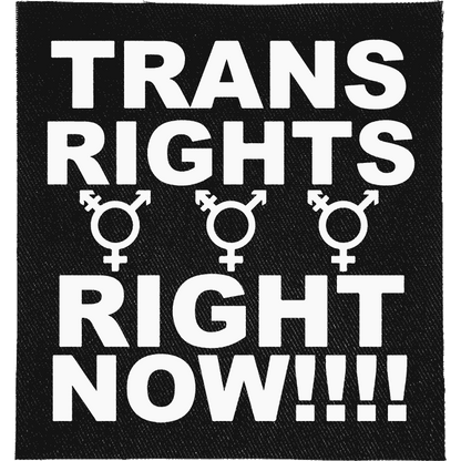 Trans Rights, Right Now Patch image 0
