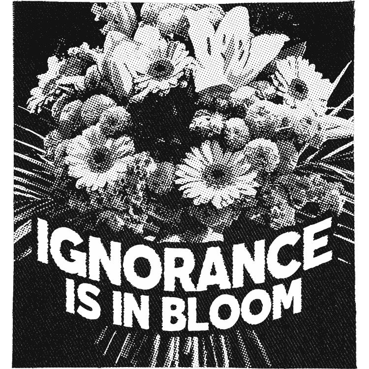 Ignorance is in Bloom Patch image 0