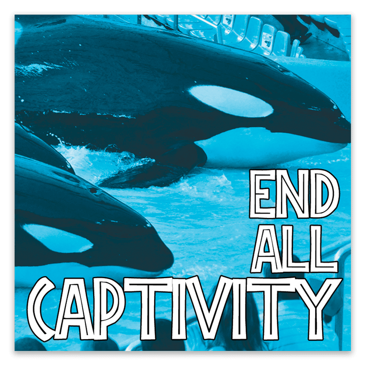 End All Captivity Stickers image 0