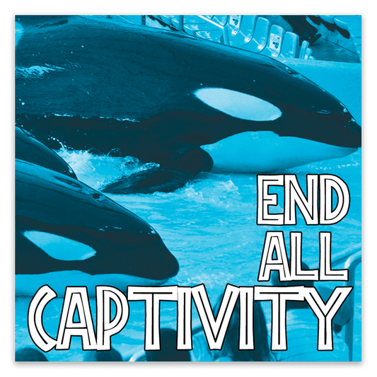 End All Captivity Stickers image 0