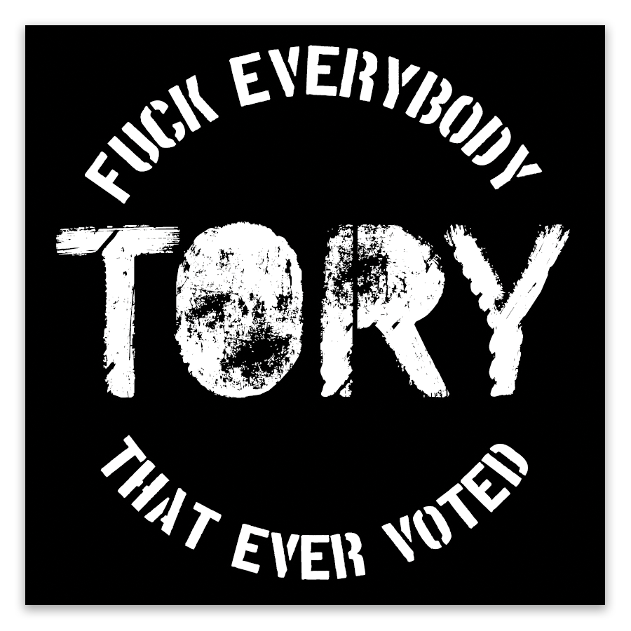 Fuck Everybody Who Voted Tory Stickers
