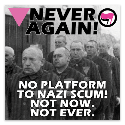 Never Again Pink Triangles Stickers