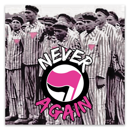 Never Again Stickers