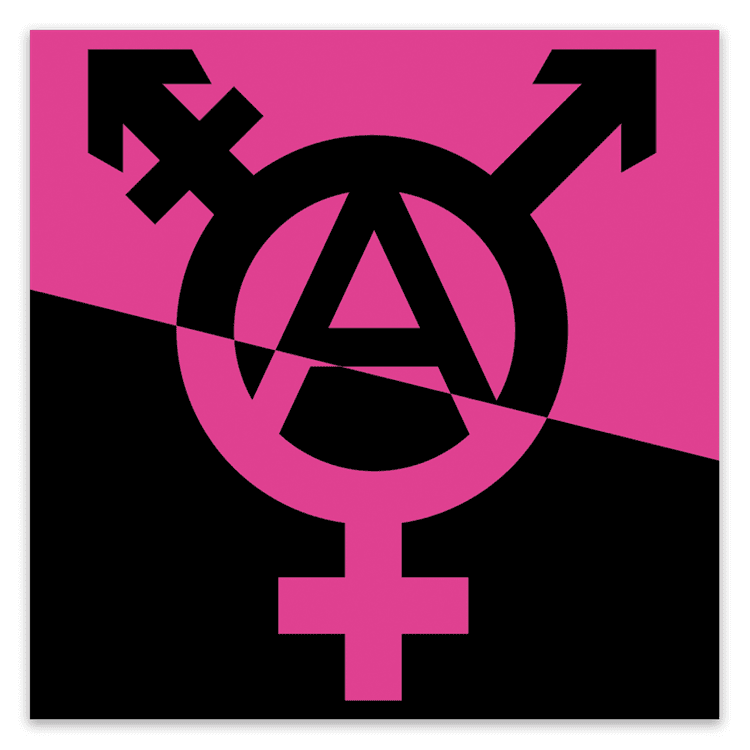 Trans Anarchy Stickers image 0