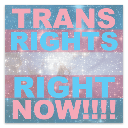 Trans Rights, Right Now Stickers image 0